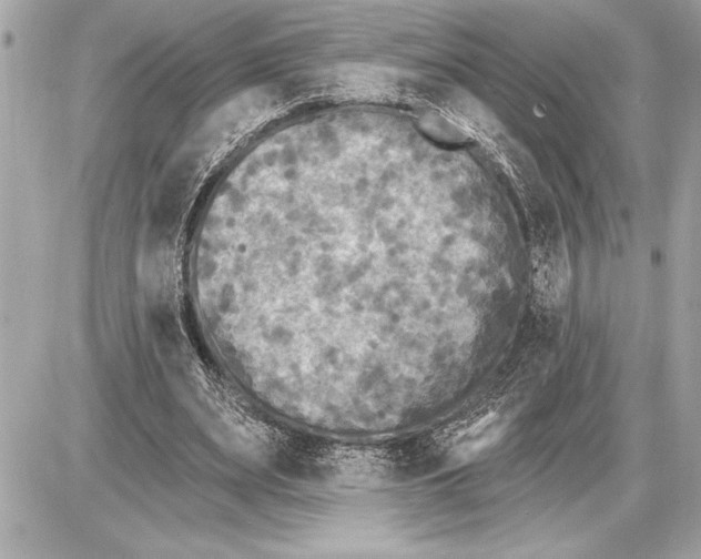 X0000085820487200704091636