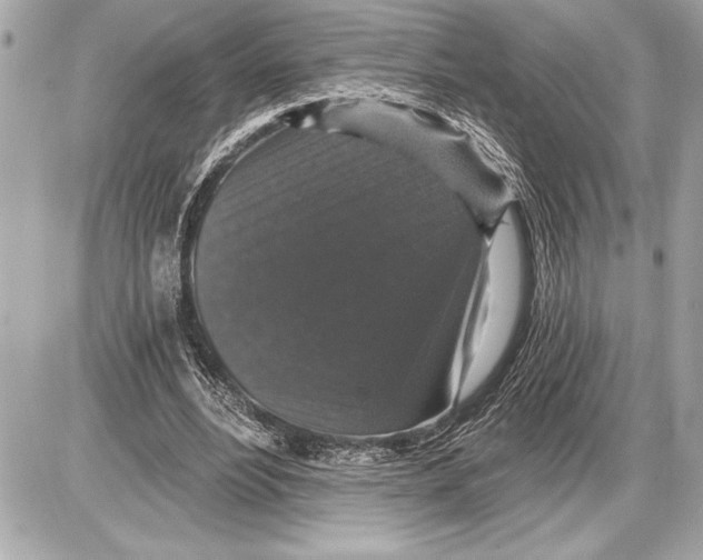 X0000085820488200704091636