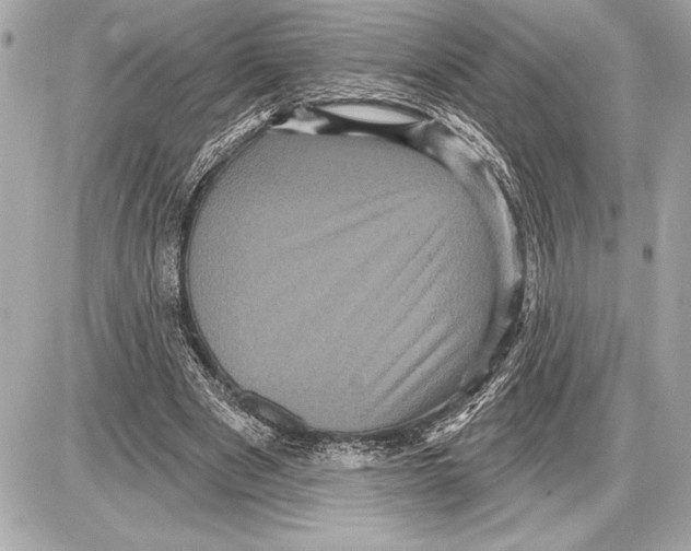 X0000085820489200704091636