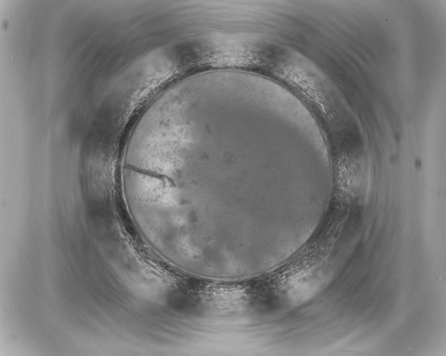 X0000085820491200704091636