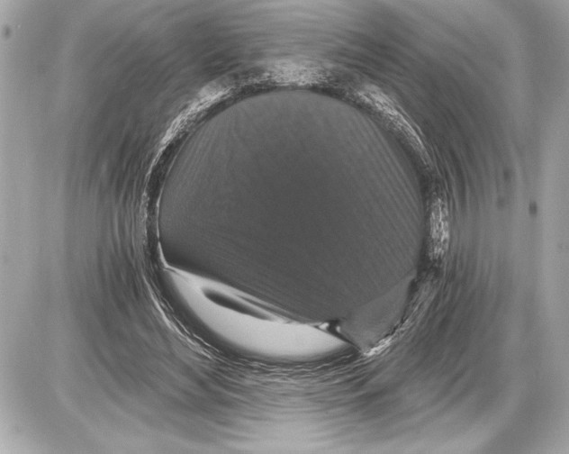 X0000085820492200704091636