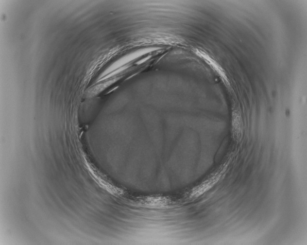 X0000085820493200704091636