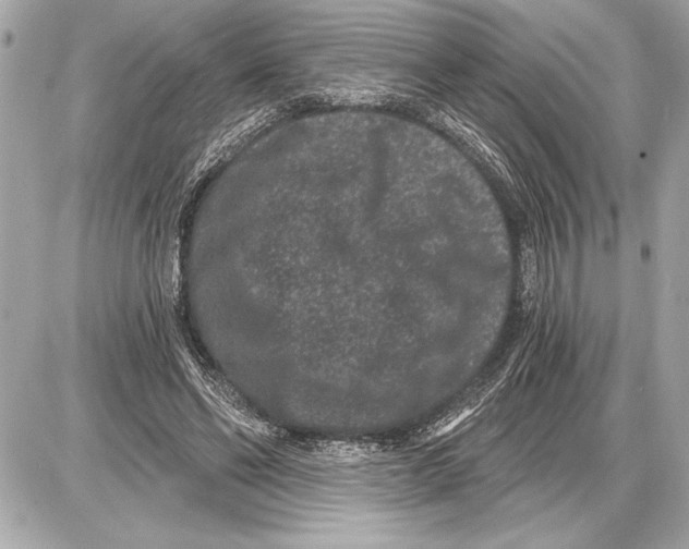 X0000085820494200704091636