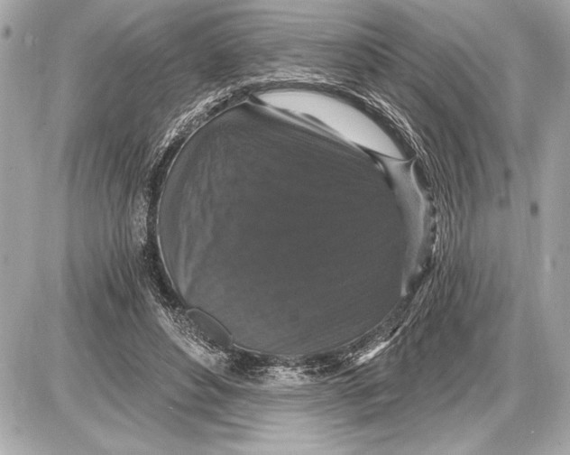 X0000085820496200704091636