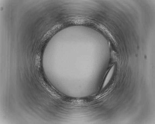 X0000085820497200704091636