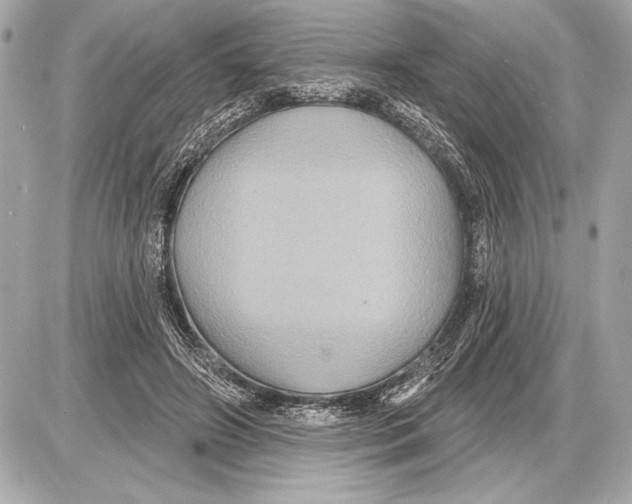 X0000085820498200704091636