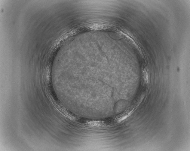 X0000085820499200704091636