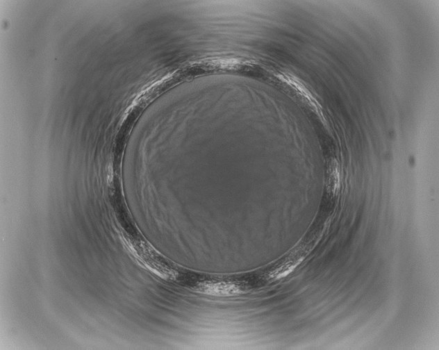 X0000085820500200704091636