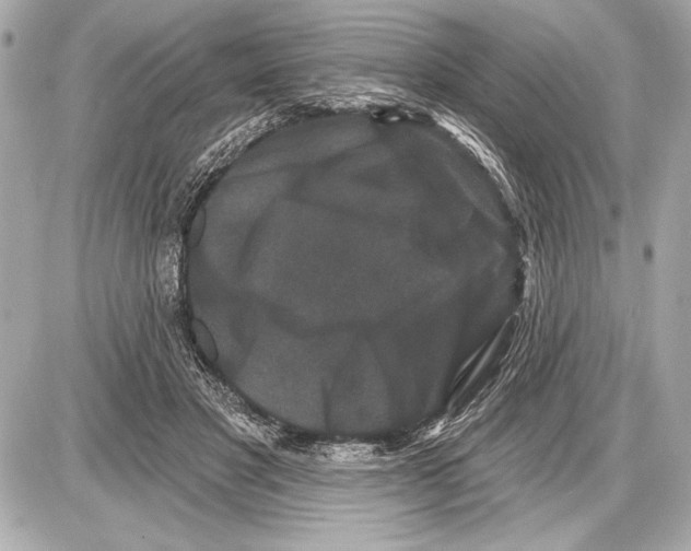 X0000085820501200704091636