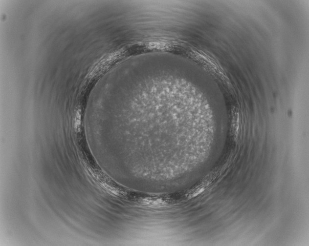 X0000085820502200704091636