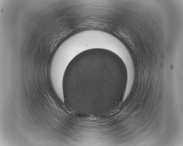 X0000085820504200704091636