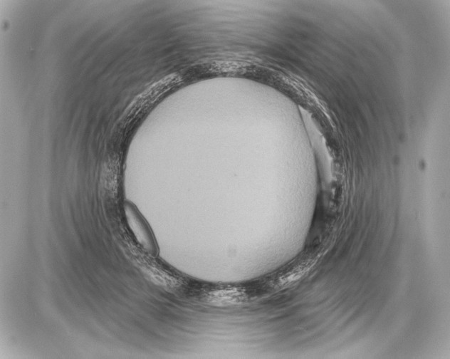 X0000085820505200704091636