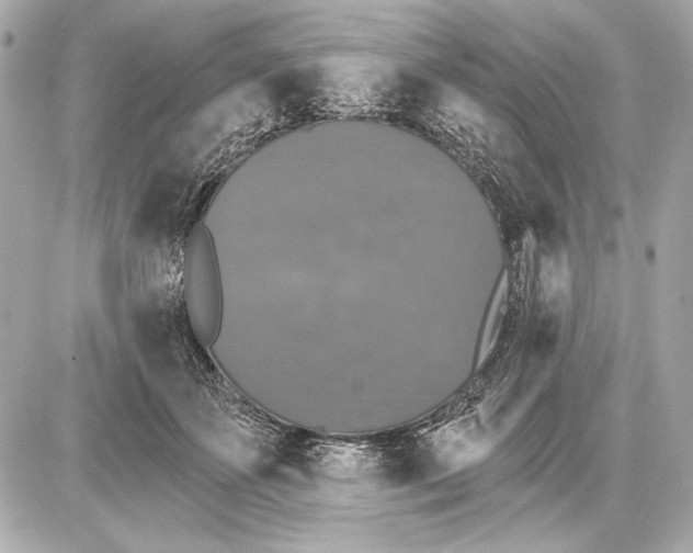 X0000085820507200704091636