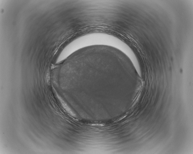 X0000085820508200704091636