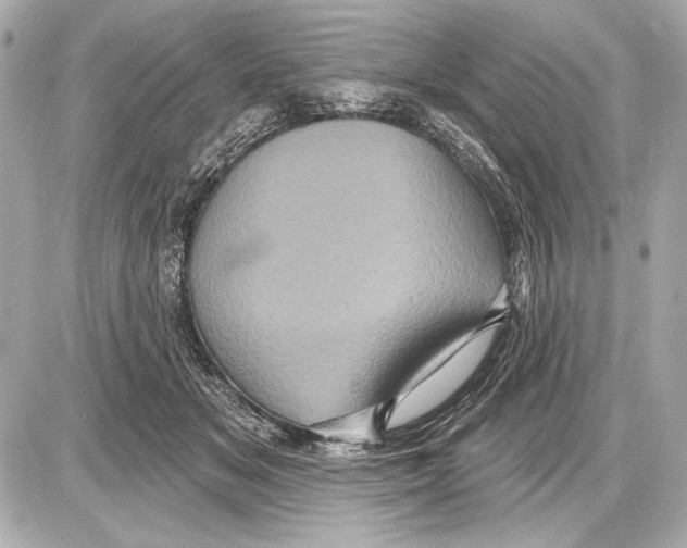 X0000085820509200704091636