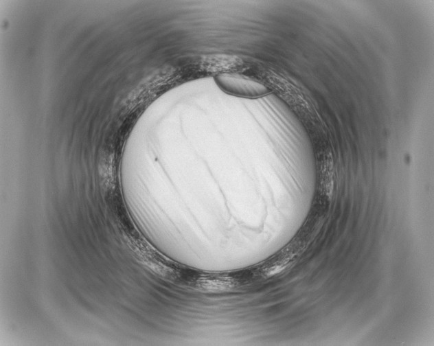 X0000085820510200704091636