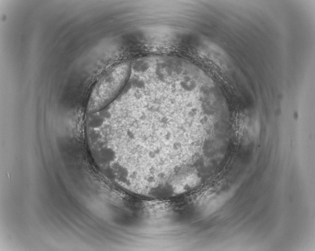 X0000085820511200704091636