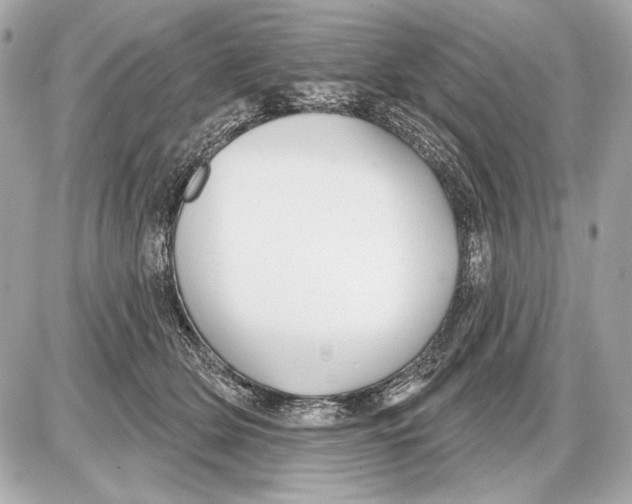 X0000085820514200704091635