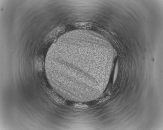 X0000085820515200704091635