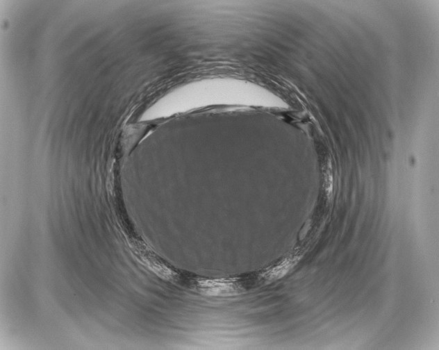 X0000085820516200704091635