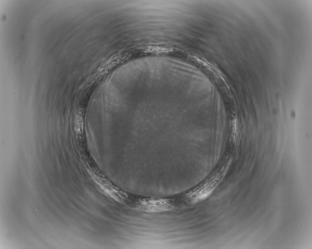 X0000085820517200704091635