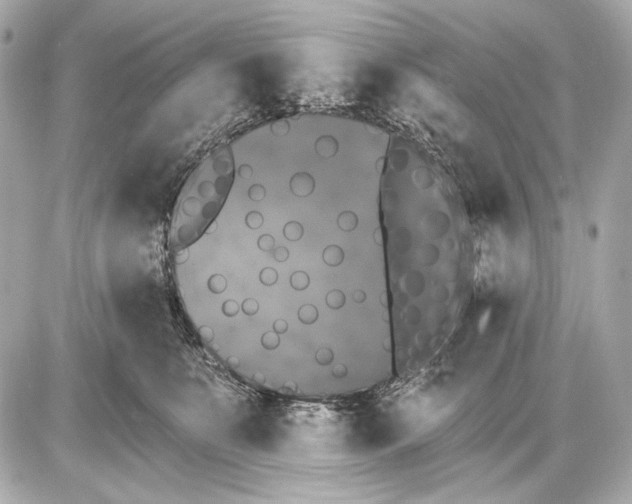 X0000085820519200704091635