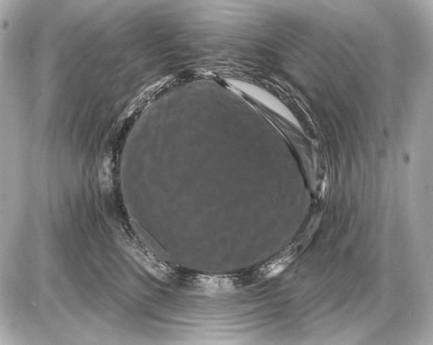 X0000085820520200704091635