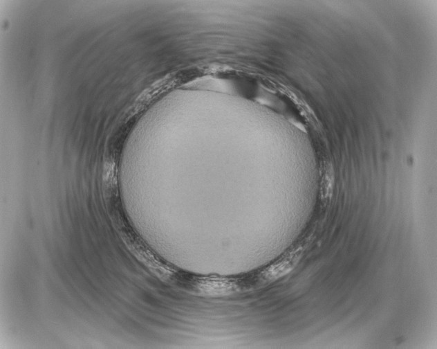 X0000085820521200704091635