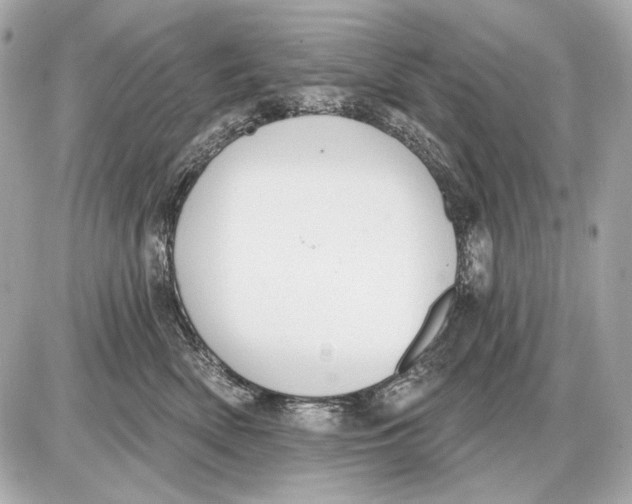 X0000085820522200704091635