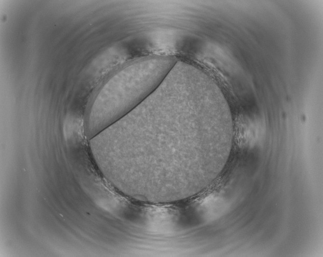 X0000085820523200704091635