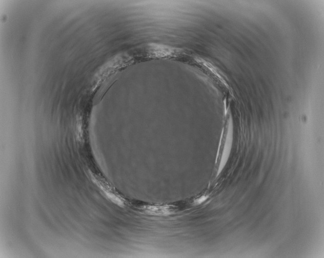 X0000085820524200704091635