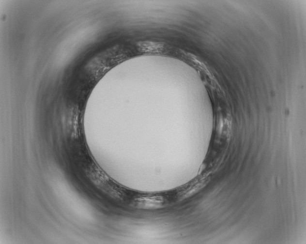 X0000085820525200704091635