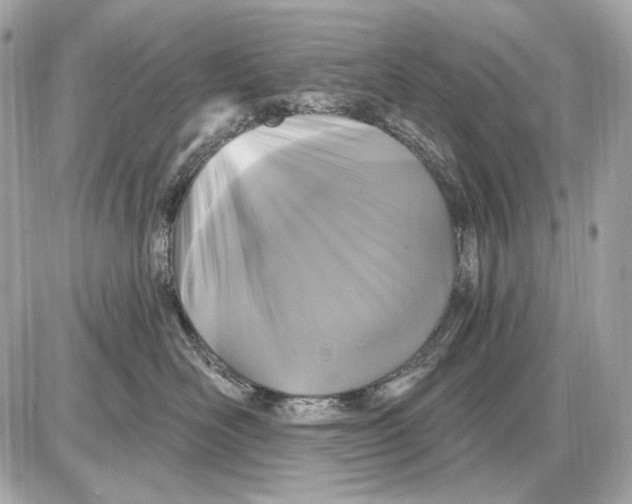 X0000085820526200704091635