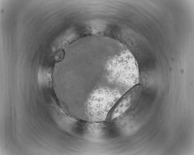 X0000085820527200704091635