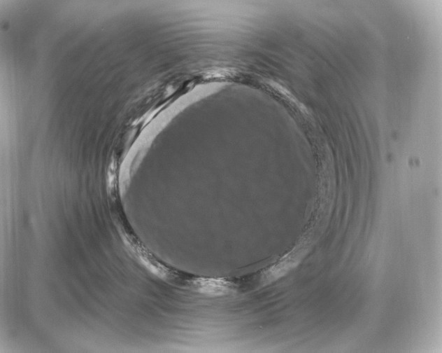 X0000085820528200704091635