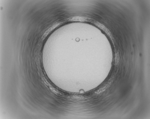 X0000085820529200704091634