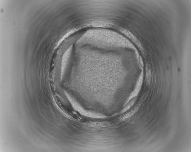 X0000085820530200704091634