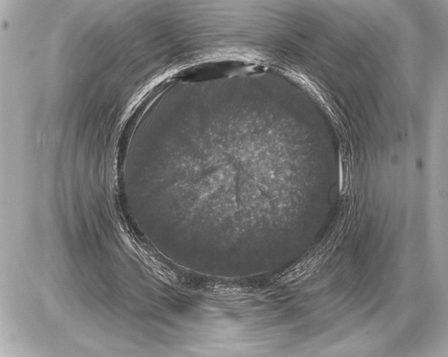 X0000085820531200704091634