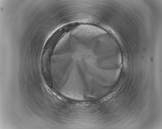 X0000085820532200704091634