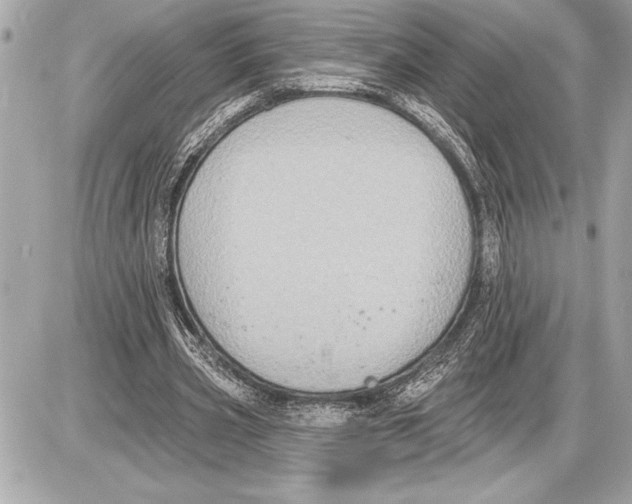 X0000085820533200704091635