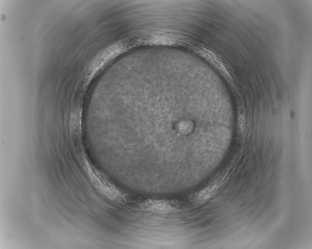 X0000085820534200704091635