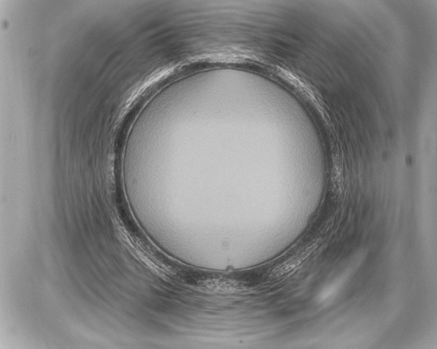 X0000085820535200704091635