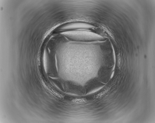 X0000085820536200704091635