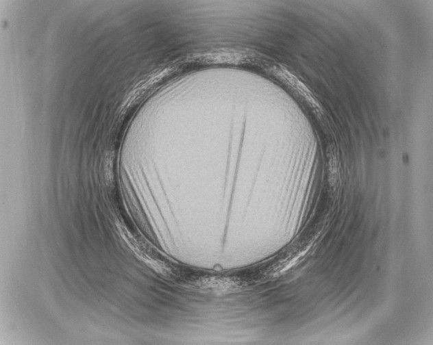 X0000085820537200704091635