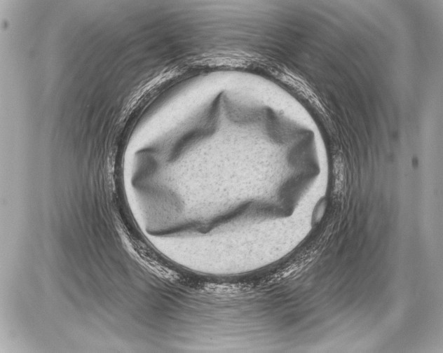 X0000085820538200704091635