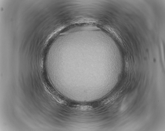 X0000085820539200704091635