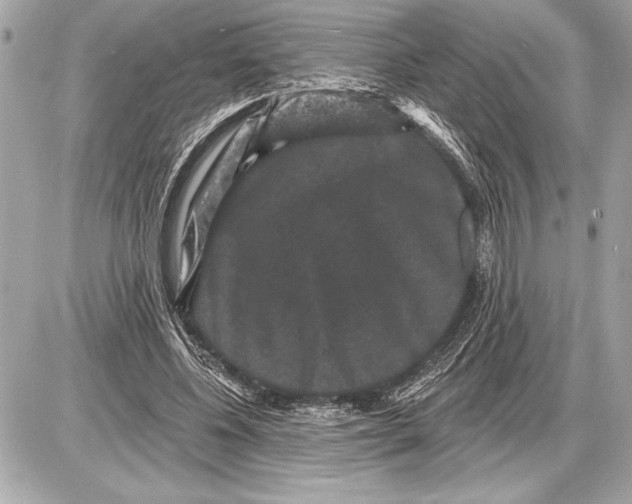 X0000085820540200704091635