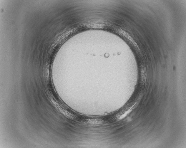 X0000085820541200704091635