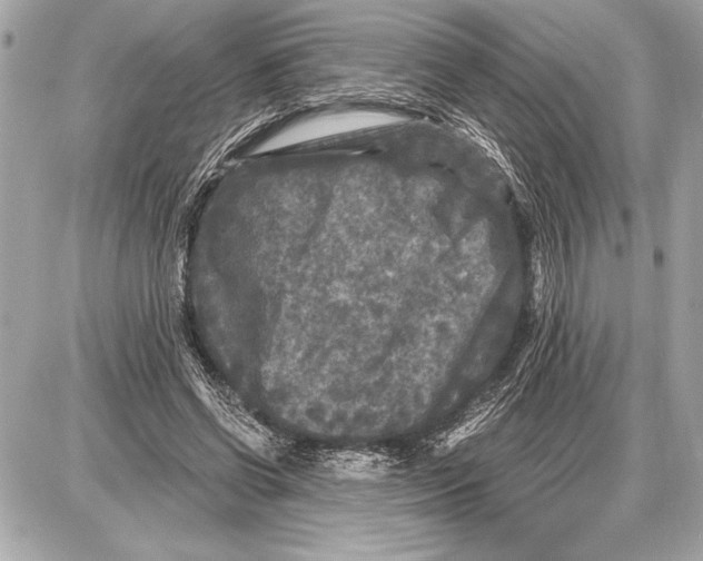 X0000085820542200704091635