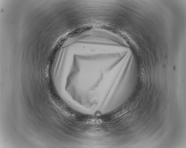 X0000085820543200704091635